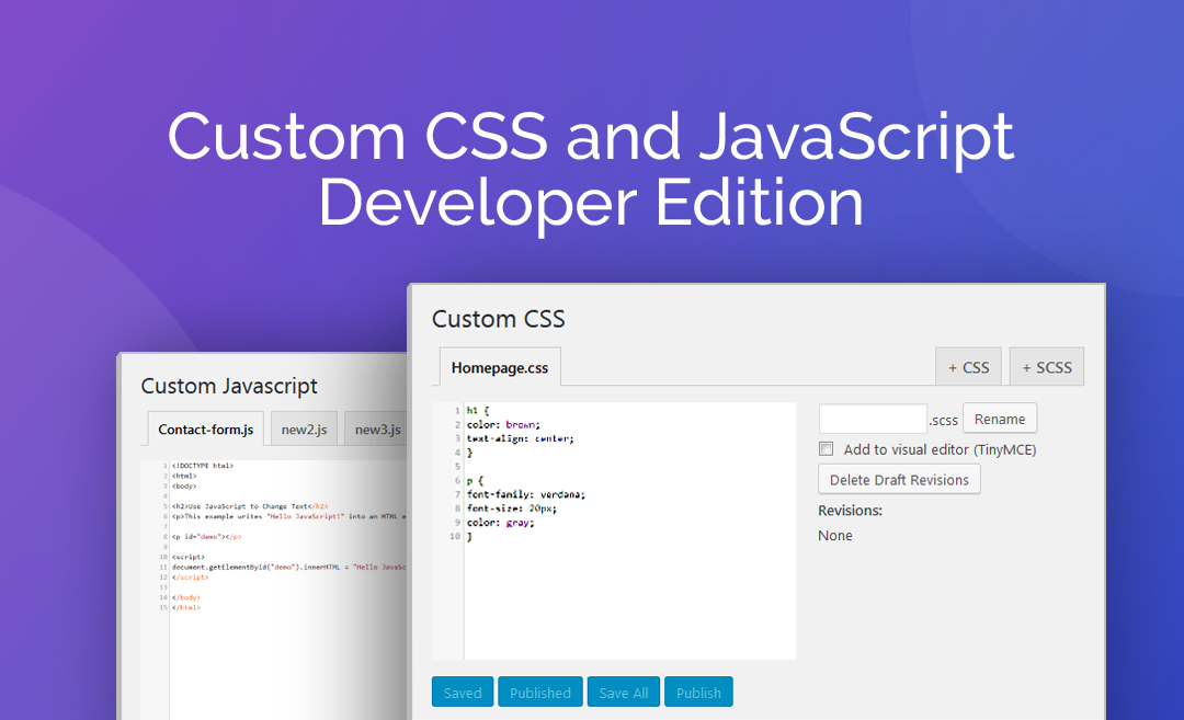 Custom js and css developer edition
